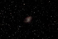 M1