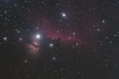 Horsehead